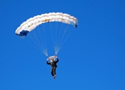 RNG观众热烈欢呼！，费德勒迎来十赛季出色发挥上演精彩一战