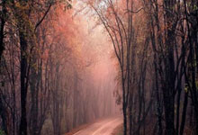 欧预赛疯狂进行，各队备战挑战实力较量的简单介绍